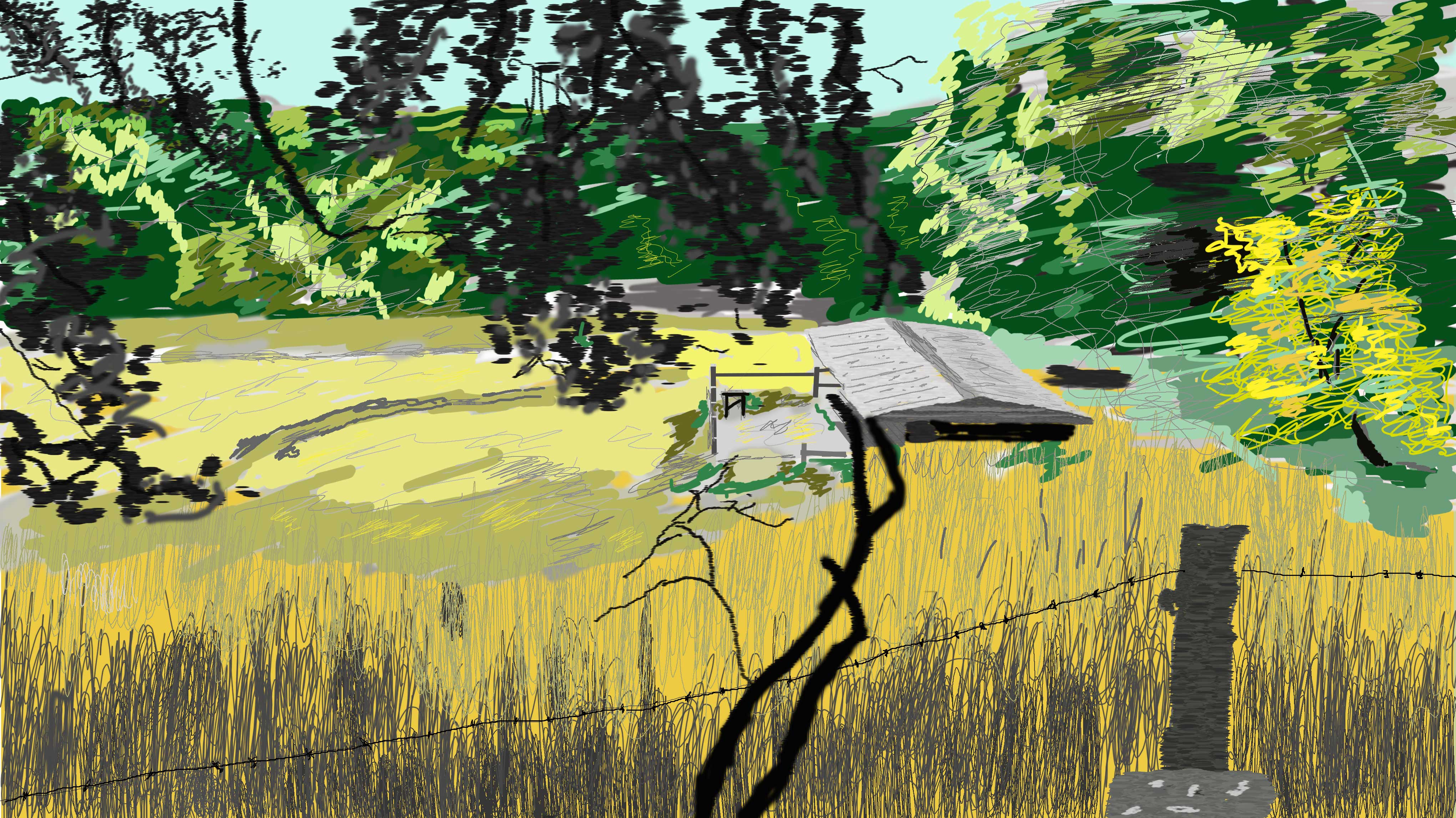 Computer pen random image